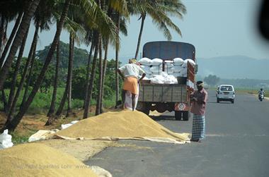 On Route Thekkady to Madurai,_DSC_7731_H600